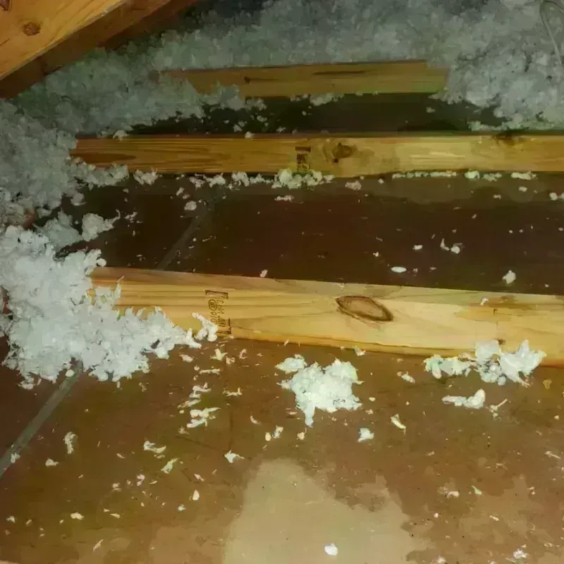 Attic Water Damage in Brookings, SD