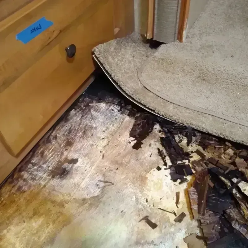 Best Wood Floor Water Damage Service in Brookings, SD